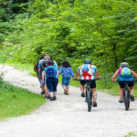 Apartmán Franzenhof Markhart Deggenhausertal Exteriér fotografie