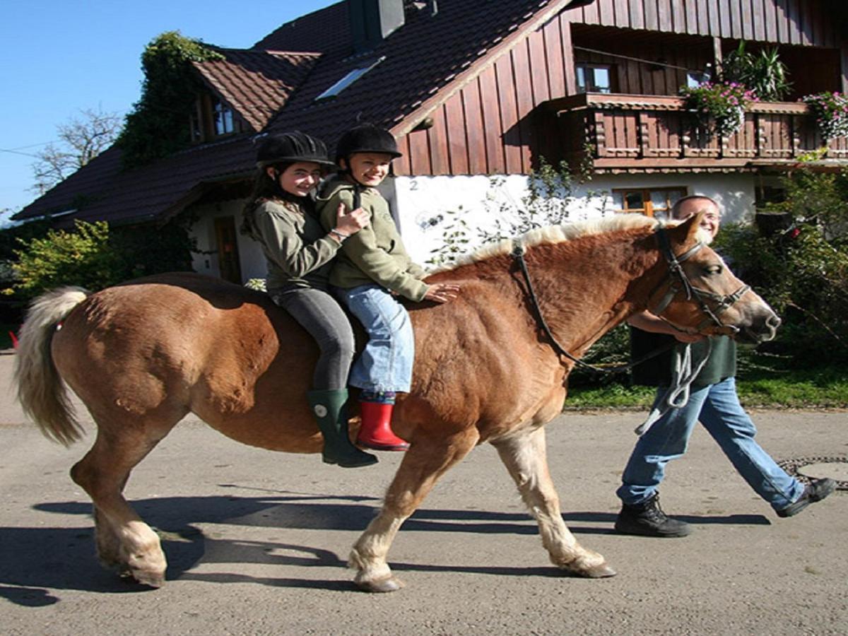 Apartmán Franzenhof Markhart Deggenhausertal Exteriér fotografie